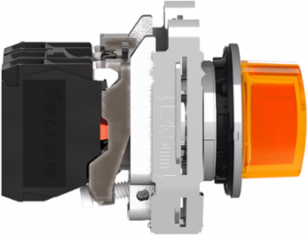 Harmony XB4 30mm Illuminated Selector Switch, IP66, 110-120V AC