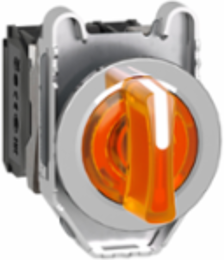 Harmony XB4 30mm Illuminated Selector Switch, IP66, 110-120V AC