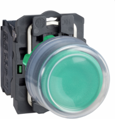 Harmony XB5 22mm Green Spring Return Push Button, IP66/IP67, Plastic