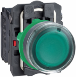 Harmony XB5 Illuminated Push Button, 22mm, Green, IP67, 220-240V AC