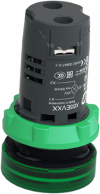 Harmony XB5 22mm Green Monolithic Pilot Light, IP66, 24V AC/DC
