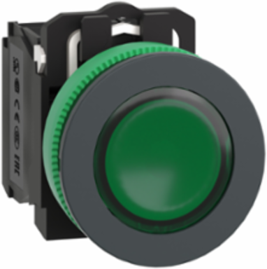 Harmony XB5 Illuminated Push Button 30mm Green Antimicrobial 110-120V AC