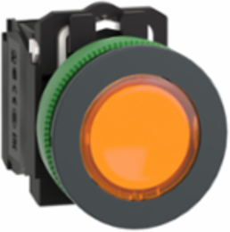 Illuminated Push Button 30 mm Antimicrobial Orange 1NO + 1NC 110-120V AC