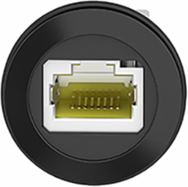 Panel Mounted RJ45 Port, 22mm, IP20, Plastic, RJ45 Ethernet 10 Gbit/s