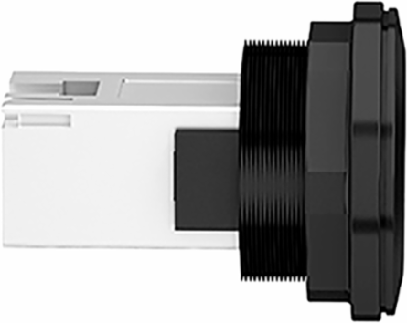 Panel Mounted RJ45 Port, 22mm, IP20, Plastic, RJ45 Ethernet 10 Gbit/s
