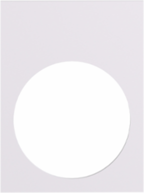 Harmony XAC Blank Legend Plate, 30x40mm, Unmarked, Plastic