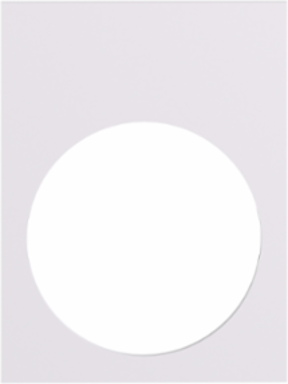 Harmony XAC Blank Legend Plate, 30x40mm, Unmarked, Plastic