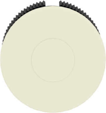 Harmony XAP Blanking Plug, Grey Insulated Material, 22.5mm Cut-Out