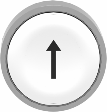 Harmony XB4 White Metal Head for Non-Illuminated Push Button, 22mm, IP66