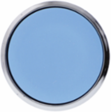 Harmony XB4 Non-Illuminated Push Button Head, 22mm, Blue, Spring Return