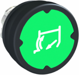 Harmony XB4 Push Button Head Green, 22 mm, IP66, IK06