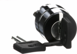 Harmony XB4 Key Switch Selector Head, 22mm, Key 455, IP66, 2 Positions