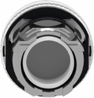 Harmony XB4 Pilot Light Head, 22mm, Metal, White, IP66, BA9s Base