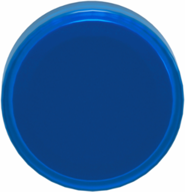 Harmony XB4 Pilot Light Head, 22mm, Blue, IP66, Metal Bezel