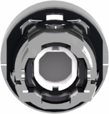 Harmony XB4 22mm Illuminated Push Button Head, Orange, IP66