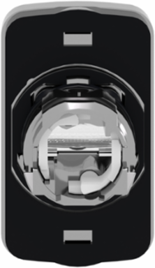 Harmony XB4 Illuminated Double Head Push Button 22mm, IP66, Metal Bezel