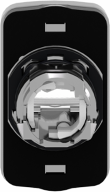 Harmony XB4 Illuminated Double Head Push Button 22mm, IP66, Metal, Spring Return
