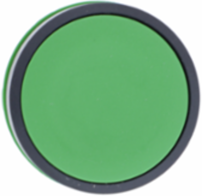 Harmony XB5 Green Push Button Head, 22mm, Spring Return, IP66/IP67/IP69K