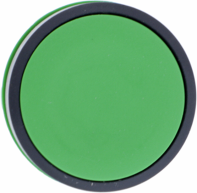 Harmony XB5 Green Push Button Head, 22mm, Spring Return, IP66/IP67/IP69K