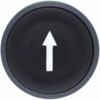 Harmony XB5 Black Plastic Push Button Head 22mm Spring Return