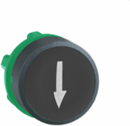 Harmony XB5 Black Plastic Push Button Head 22mm Spring Return