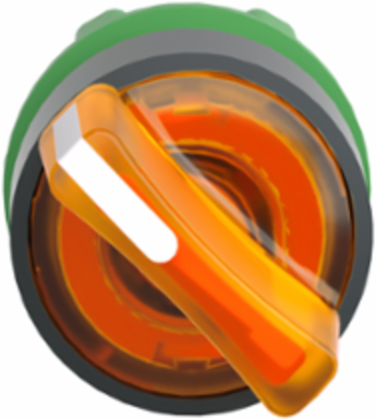 Harmony XB5 Illuminated Selector Switch Head, 22mm, Orange Handle, IP69K
