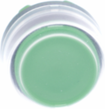 Harmony XB5 Green Projecting Push Button Head, 22mm, IP66/IP67/IP69K, Spring Return