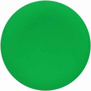Harmony XB4 22mm Green Flush Push Button Cap, Unmarked