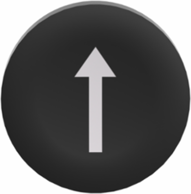 Harmony XB4 Flush Push Button Cap, 22mm, Black, White Arrow Mark