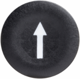 Harmony XB4 Flush Push Button Cap, 22mm, Black, White Arrow Mark