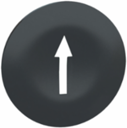 Harmony XB4 Wireless Push Button Cap, 22mm, Black with White Arrow