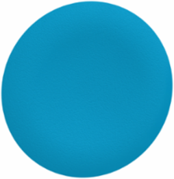 Antimicrobial Blue Pushbutton Cap for Harmony XB5 XB4, Flush Mount, Set of 1