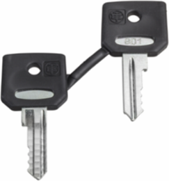 Harmony XB4 Emergency Stop Key Set of 2, Key 3131A