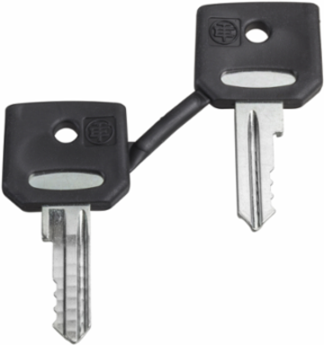 Harmony XB4 Emergency Stop Key 455, Set of 2 Keys