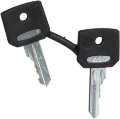 Harmony XB4 Emergency Stop Key 455, Set of 2 Keys