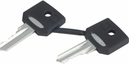 Harmony XB4 Emergency Stop Key 455, Set of 2 Keys