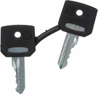 Harmony XB4 Emergency Stop Key 455, Set of 2 Keys