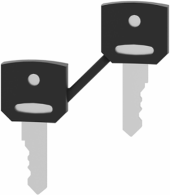 Harmony XB4 Key Set of 2 with Booted, Key Number 455