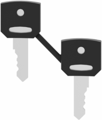Harmony XB4 Key Set of 2 with Booted, Key Number 455