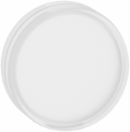 Harmony XB4 XB5 22mm White Lens Cap for Universal LED Pilot Lights