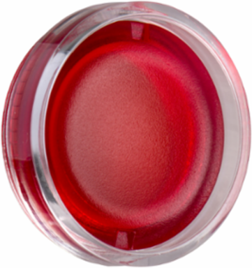Harmony XB5 / XB4 Red Lens Cap for Ø22 mm Illuminated Pushbutton