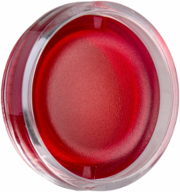 Harmony XB4/XB5 Red Lens Cap for 22mm Illuminated Push Button, Set of 10