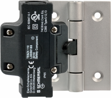 Hinge Safety Switch TESZX1102/S, 111.5 mm x 92 mm x 36 mm, IP65, 2 Safety Contacts