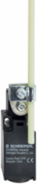 Position Switch TV10H 236-20Z, Thermoplastic, IP65, 30 mm Width, 20 Million Operations