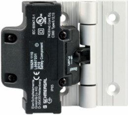 Hinge Safety Switch, 111.5 mm Width, IP65, Rated Voltage 250 VAC