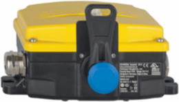 RS655 Pull-Wire Emergency Stop Switch, IP66/IP67, 100 m Wire Length, 2 Safety Contacts
