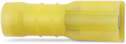 FULLY INS NYL FEM-250 DISC, 12
