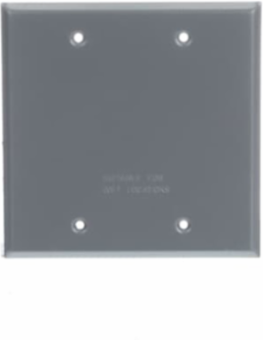 TWO GANG BLANK CVR