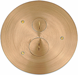 Flush Service Floor Box Cover, 8 Inch Diameter, Brass, 140 Cubic Inches