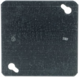 4IN SQUARE BLANK FLAT COVER